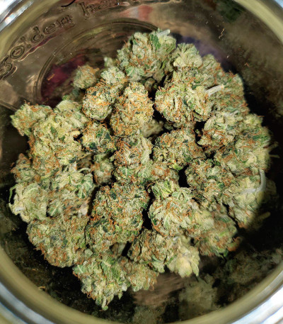 Сорт Bruce Banner Auto fem (Monster Genetics) Сорт Bruce Banner Auto fem (Monster Genetics) — изображение 5