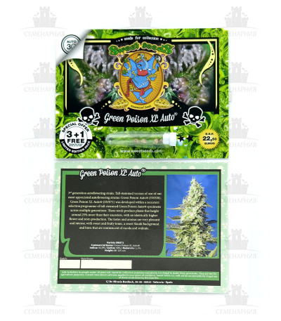 Сорт Green Poison XL Auto fem (Sweet Seeds) Сорт Green Poison XL Auto fem (Sweet Seeds) — изображение 2