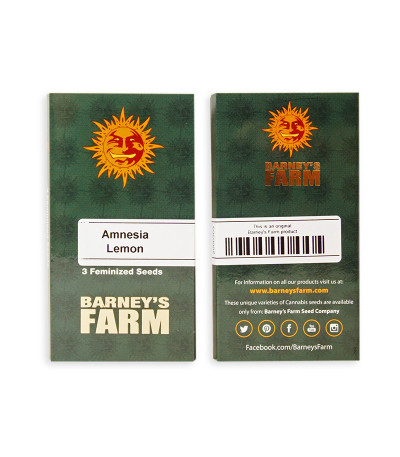 Сорт Amnesia Lemon fem (Barney's Farm) Сорт Amnesia Lemon fem (Barney's Farm) — изображение 2