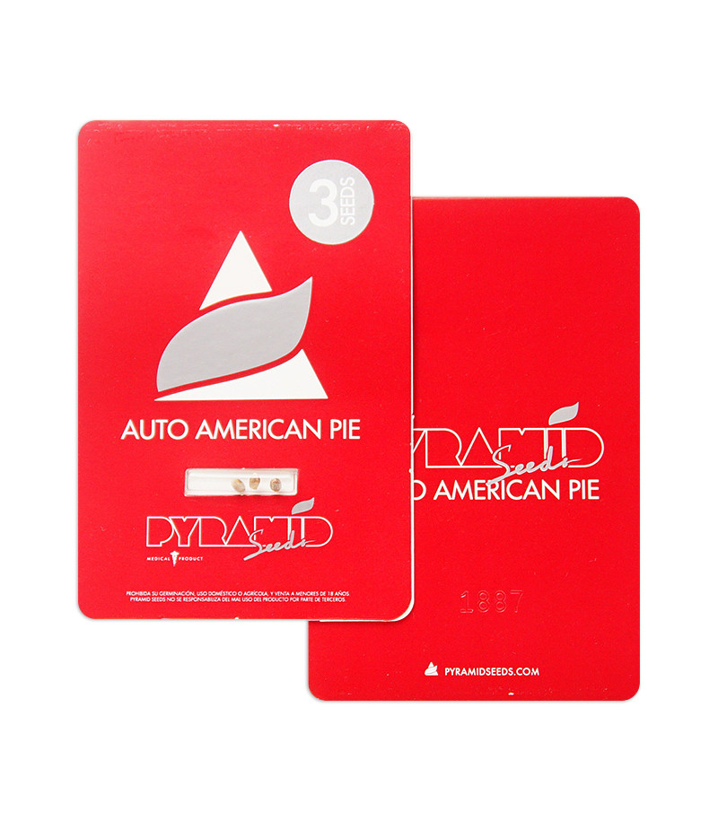 Сорт Auto American Pie fem (Pyramid Seeds) Сорт Auto American Pie fem (Pyramid Seeds) — изображение 2