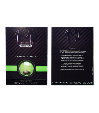 Сорт Cookies USA fem (Pyramid Seeds) Сорт Cookies USA fem (Pyramid Seeds) — изображение 2
