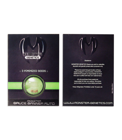 Сорт Bruce Banner Auto fem (Monster Genetics) Сорт Bruce Banner Auto fem (Monster Genetics) — изображение 2