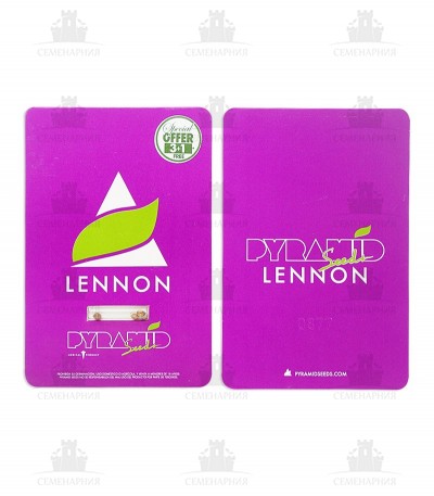 Сорт Lennon fem (Pyramid Seeds) Сорт Lennon fem (Pyramid Seeds) — изображение 2