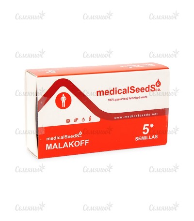 Сорт Malakoff fem (Medical Seeds) Сорт Malakoff fem (Medical Seeds) — изображение 4