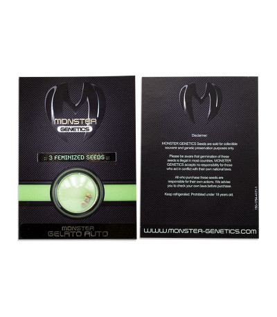 Сорт Monster Gelato Auto fem (Monster Genetics) Сорт Monster Gelato Auto fem (Monster Genetics) — изображение 2