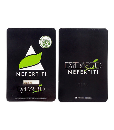 Сорт Auto Nefertiti fem (Pyramid Seeds) Сорт Auto Nefertiti fem (Pyramid Seeds) — изображение 2