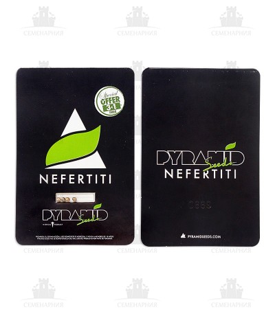 Сорт Nefertiti fem (Pyramid Seeds) Сорт Nefertiti fem (Pyramid Seeds) — изображение 3