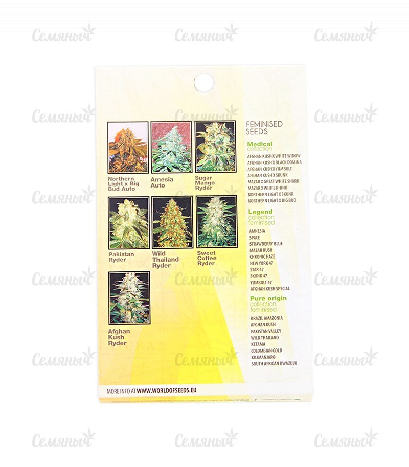 Сорт LSD-25 auto (FastBuds) Сорт LSD-25 auto (FastBuds) — изображение 3