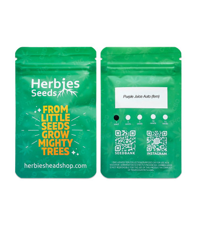 Сорт Purple Juice Auto fem (Herbies Seeds) Сорт Purple Juice Auto fem (Herbies Seeds) — изображение 3