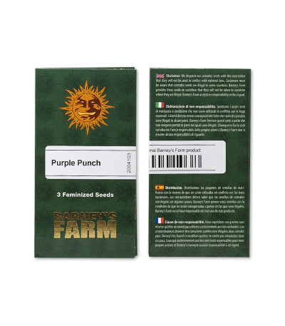Сорт Purple Punch fem (Barney's Farm) Сорт Purple Punch fem (Barney's Farm) — изображение 2