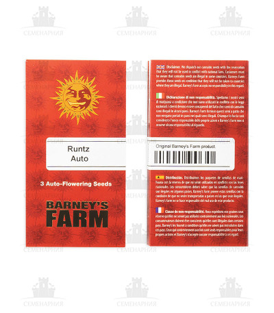 Сорт Runtz Auto fem (Barney's Farm) Сорт Runtz Auto fem (Barney's Farm) — изображение 2