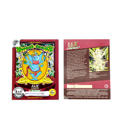 Сорт Rainbow Road fem (Paradise Seeds) Сорт Rainbow Road fem (Paradise Seeds) — изображение 2