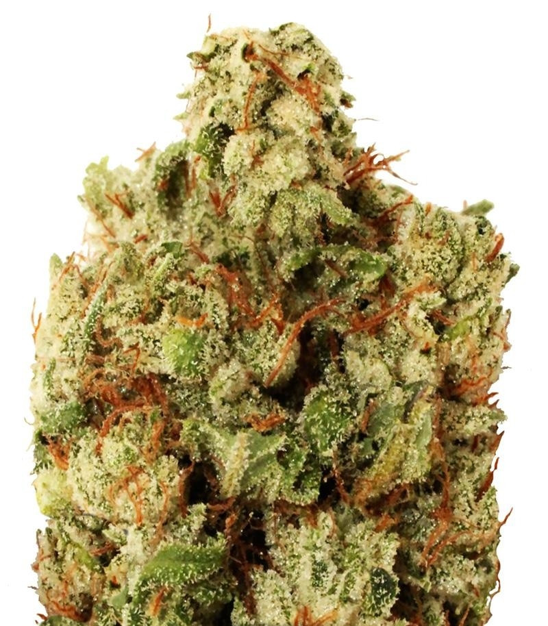 Сорт Green Ninja fem (Heavyweight Seeds) Сорт Green Ninja fem (Heavyweight Seeds)