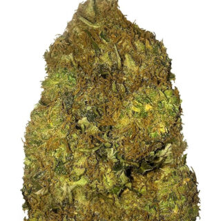 Сорт Skunky Monkey Auto fem (Heavyweight Seeds)