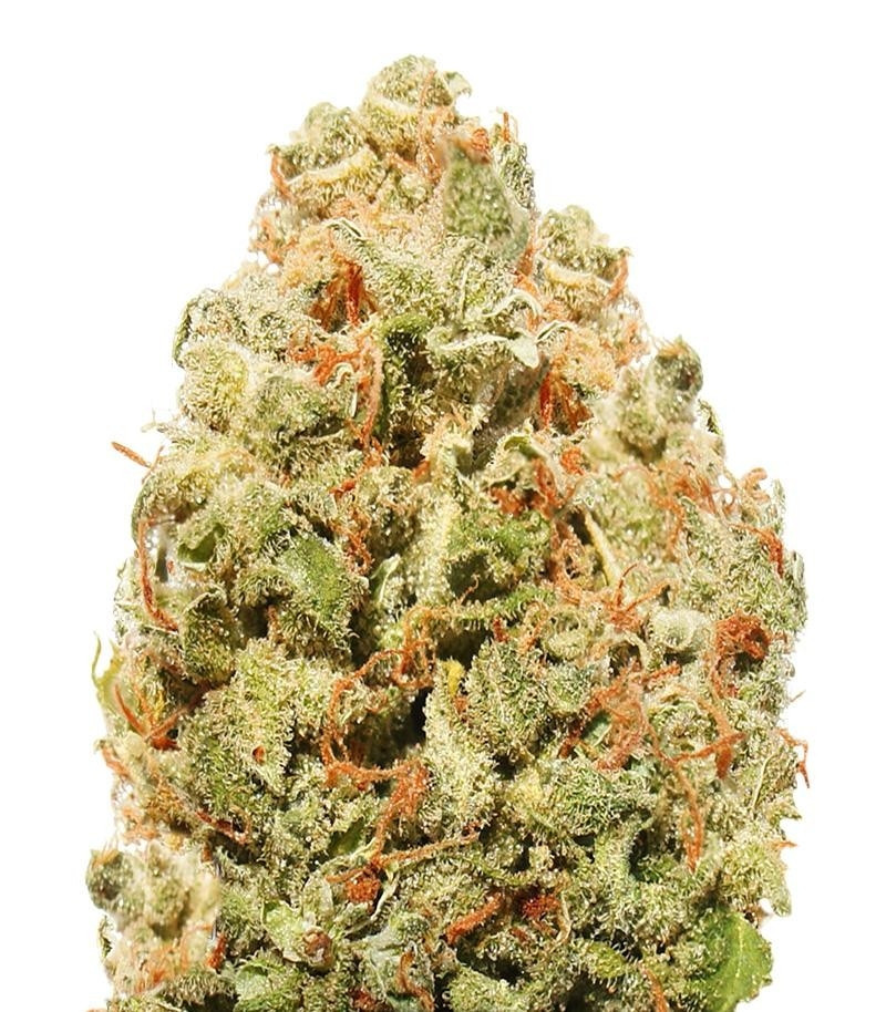 Сорт Strawberry Cake fem (Heavyweight Seeds) Сорт Strawberry Cake fem (Heavyweight Seeds)
