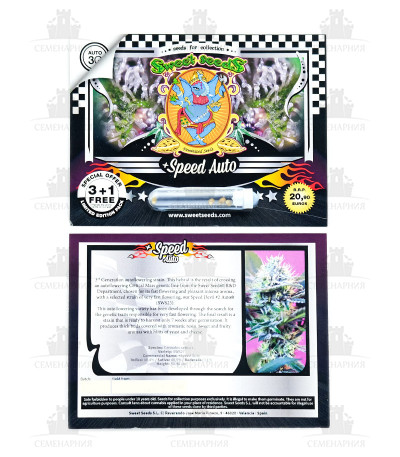 Сорт + Speed Auto fem (Sweet Seeds) Сорт + Speed Auto fem (Sweet Seeds) — изображение 2