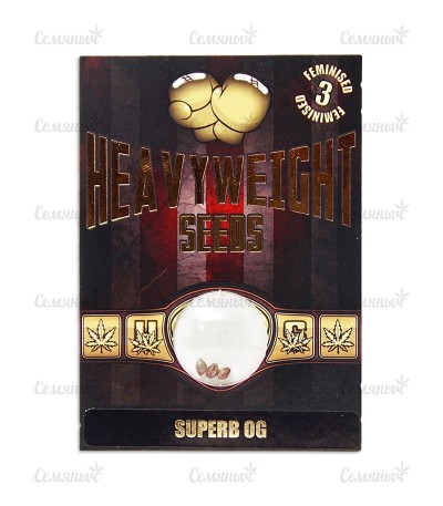 Сорт Superb OG fem (Heavyweight Seeds) Сорт Superb OG fem (Heavyweight Seeds) — изображение 2