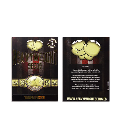 Сорт Tropic Punch fem (Heavyweight Seeds) Сорт Tropic Punch fem (Heavyweight Seeds) — изображение 2