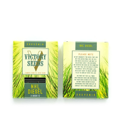 Сорт NHL Diesel (NYV Diesel) fem (Victory Seeds) Сорт NHL Diesel (NYV Diesel) fem (Victory Seeds) — изображение 2