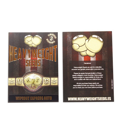 Сорт Wipeout Express auto (Heavyweight Seeds) семена конопли Сорт Wipeout Express auto (Heavyweight Seeds) семена конопли — изображение 2