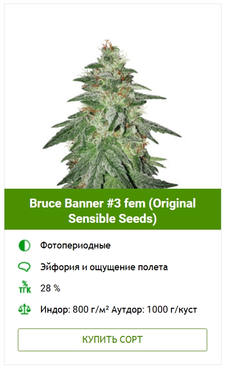 Удобрения для марихуаны