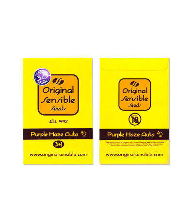 Сорт Purple Haze Auto fem (Original Sensible Seeds) Сорт Purple Haze Auto fem (Original Sensible Seeds) — изображение 2
