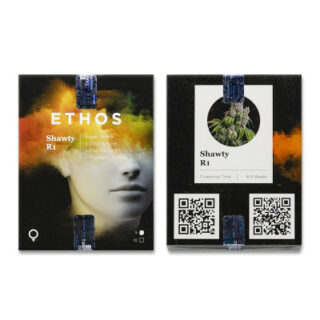 Сорт Shawty R1 fem (Ethos Genetics) Сорт Shawty R1 fem (Ethos Genetics)
